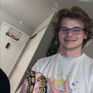 Meet your Posher, Gus